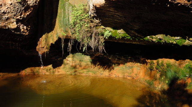 font_botzegada_castellbisbal_201502212