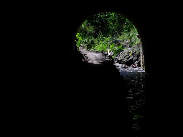 Echo tunnel