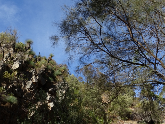 landscape_morialta_1 landscape_morialta_1