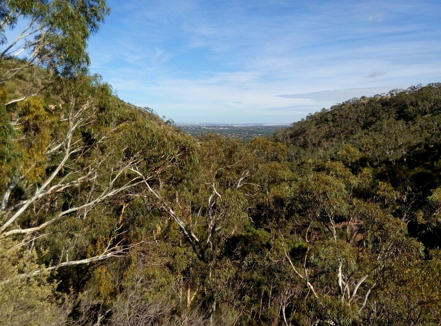 landscape_morialta_2 landscape_morialta_2