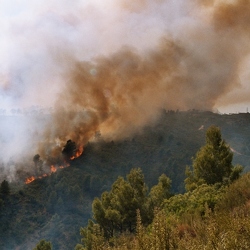 Incendis Castellbisbal 2004 i 2005
