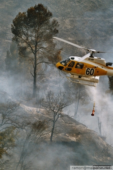 Durant els anys 2004 i 2005 es van produir alguns incendis a Castellbisbal, sortosament no tan grans com els del 1994.
Podeu llegir l'entrada sobre aquestes fotografies al blog aquí. 8_0008.jpg
