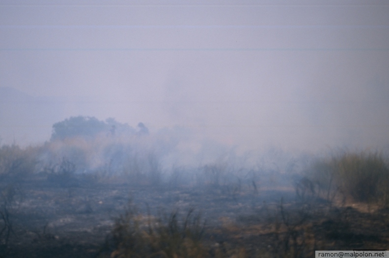 Durant els anys 2004 i 2005 es van produir alguns incendis a Castellbisbal, sortosament no tan grans com els del 1994.
Podeu llegir l'entrada sobre aquestes fotografies al blog aquí. aaa006.jpg