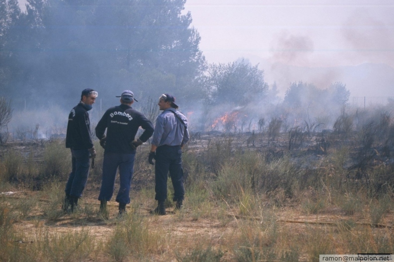 Durant els anys 2004 i 2005 es van produir alguns incendis a Castellbisbal, sortosament no tan grans com els del 1994.
Podeu llegir l'entrada sobre aquestes fotografies al blog aquí. aaa007.jpg