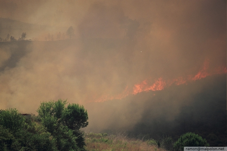 Durant els anys 2004 i 2005 es van produir alguns incendis a Castellbisbal, sortosament no tan grans com els del 1994.
Podeu llegir l'entrada sobre aquestes fotografies al blog aquí. dia_0201.jpg