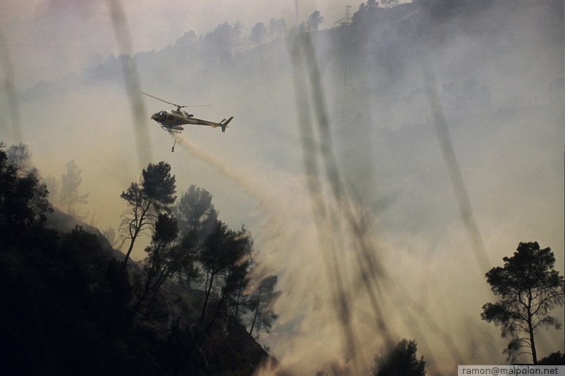 Durant els anys 2004 i 2005 es van produir alguns incendis a Castellbisbal, sortosament no tan grans com els del 1994.
Podeu llegir l'entrada sobre aquestes fotografies al blog aquí. dia_0205.jpg