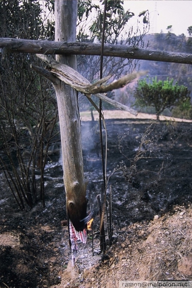 Durant els anys 2004 i 2005 es van produir alguns incendis a Castellbisbal, sortosament no tan grans com els del 1994.
Podeu llegir l'entrada sobre aquestes fotografies al blog aquí. dia_0342.jpg
