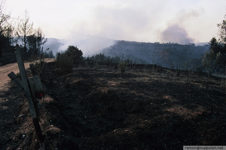 Durant els anys 2004 i 2005 es van produir alguns incendis a Castellbisbal, sortosament no tan grans com els del 1994.
Podeu llegir l'entrada sobre aquestes fotografies al blog aquí. dia_0345.jpg
