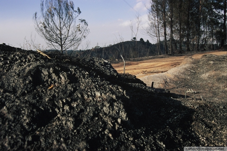 Durant els anys 2004 i 2005 es van produir alguns incendis a Castellbisbal, sortosament no tan grans com els del 1994.
Podeu llegir l'entrada sobre aquestes fotografies al blog aquí. dia_0358.jpg