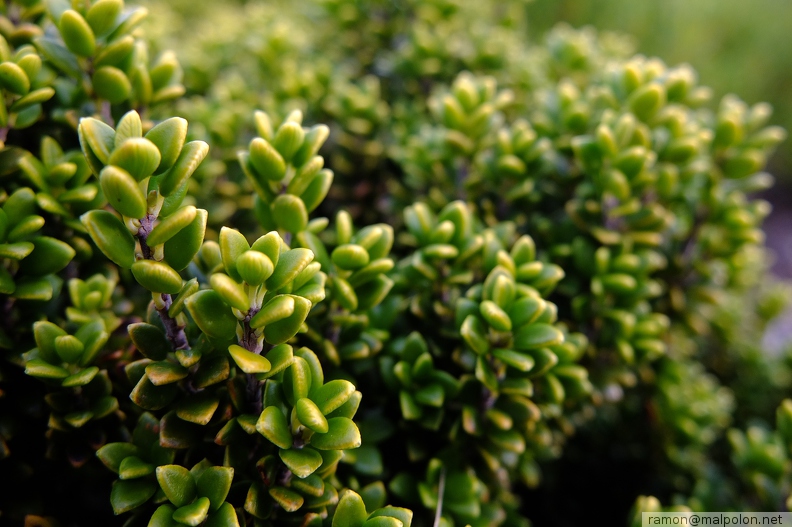 Kangaroo Island Landscapes20 - Kangaroo_Island_Landscapes20.jpg Kangaroo_Island_Landscapes20.jpg